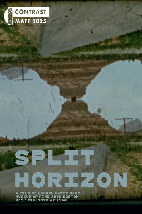 Split Horizon
