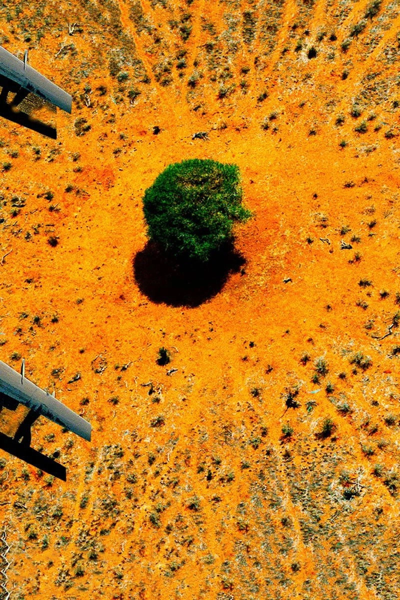 Nature : pour une réconciliation