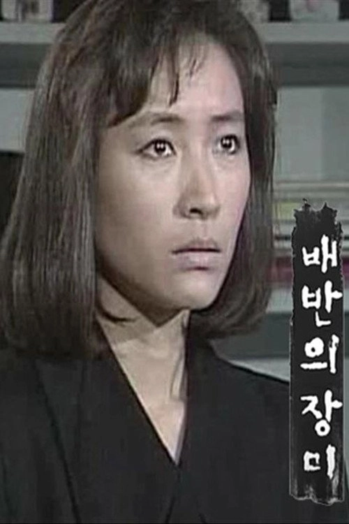 배반의 장미