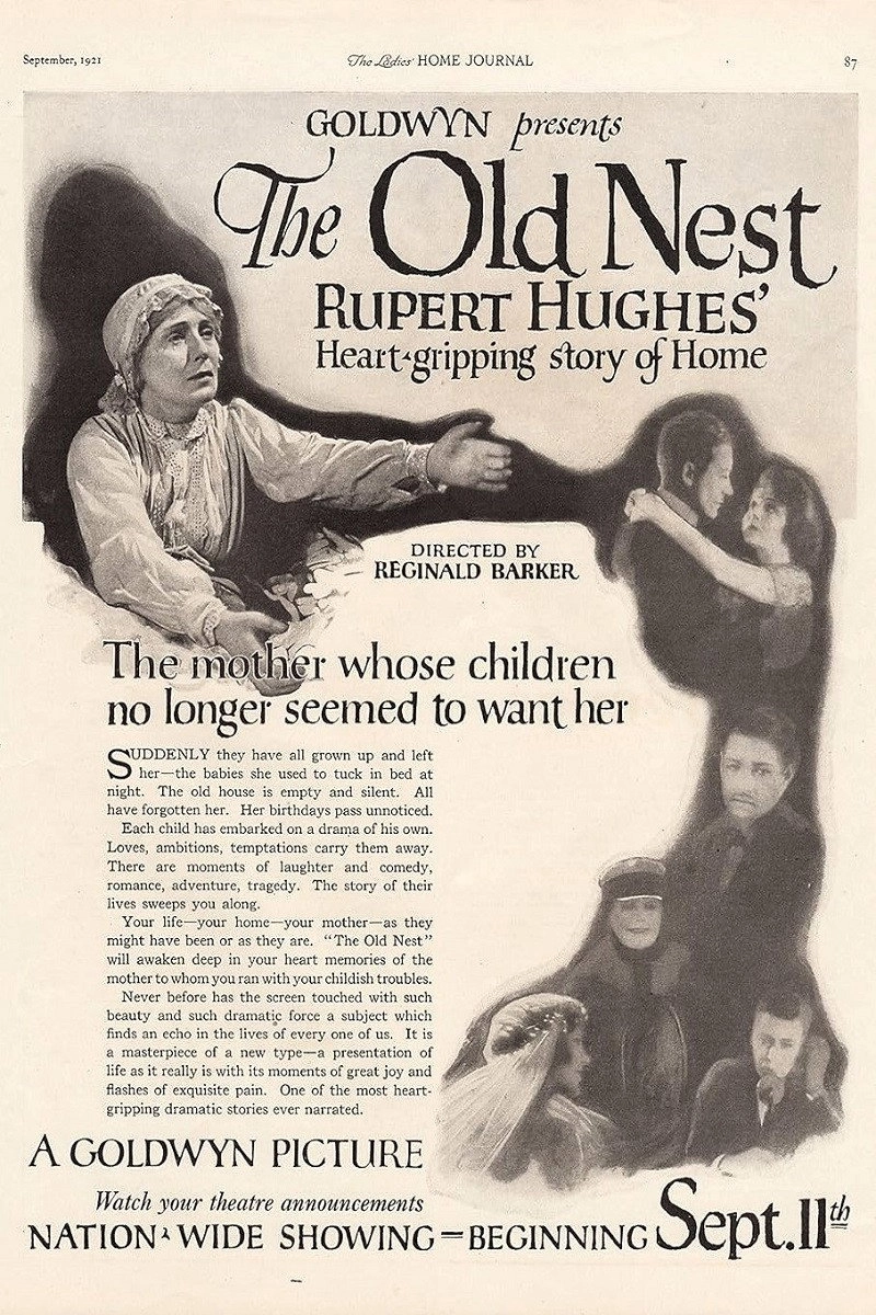 The Old Nest