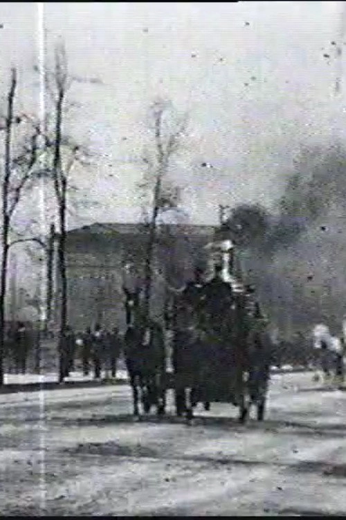Chicago Fire Department Runs