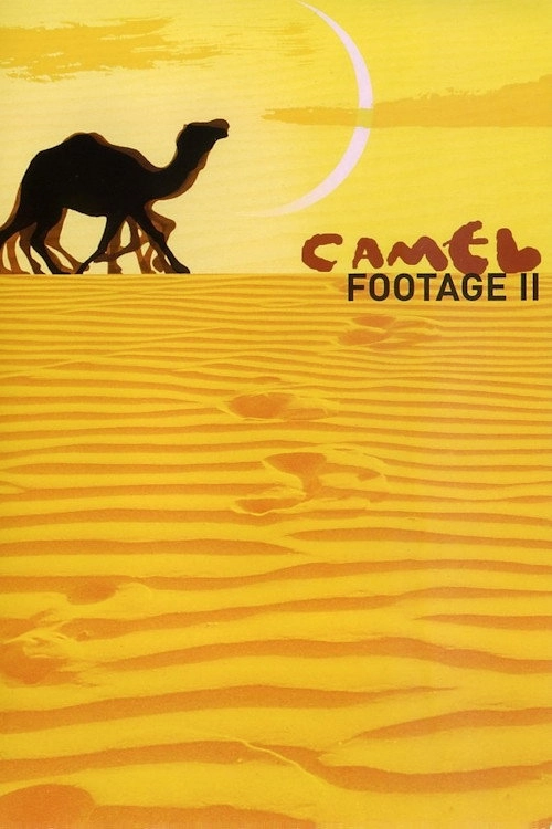 Camel Footage II