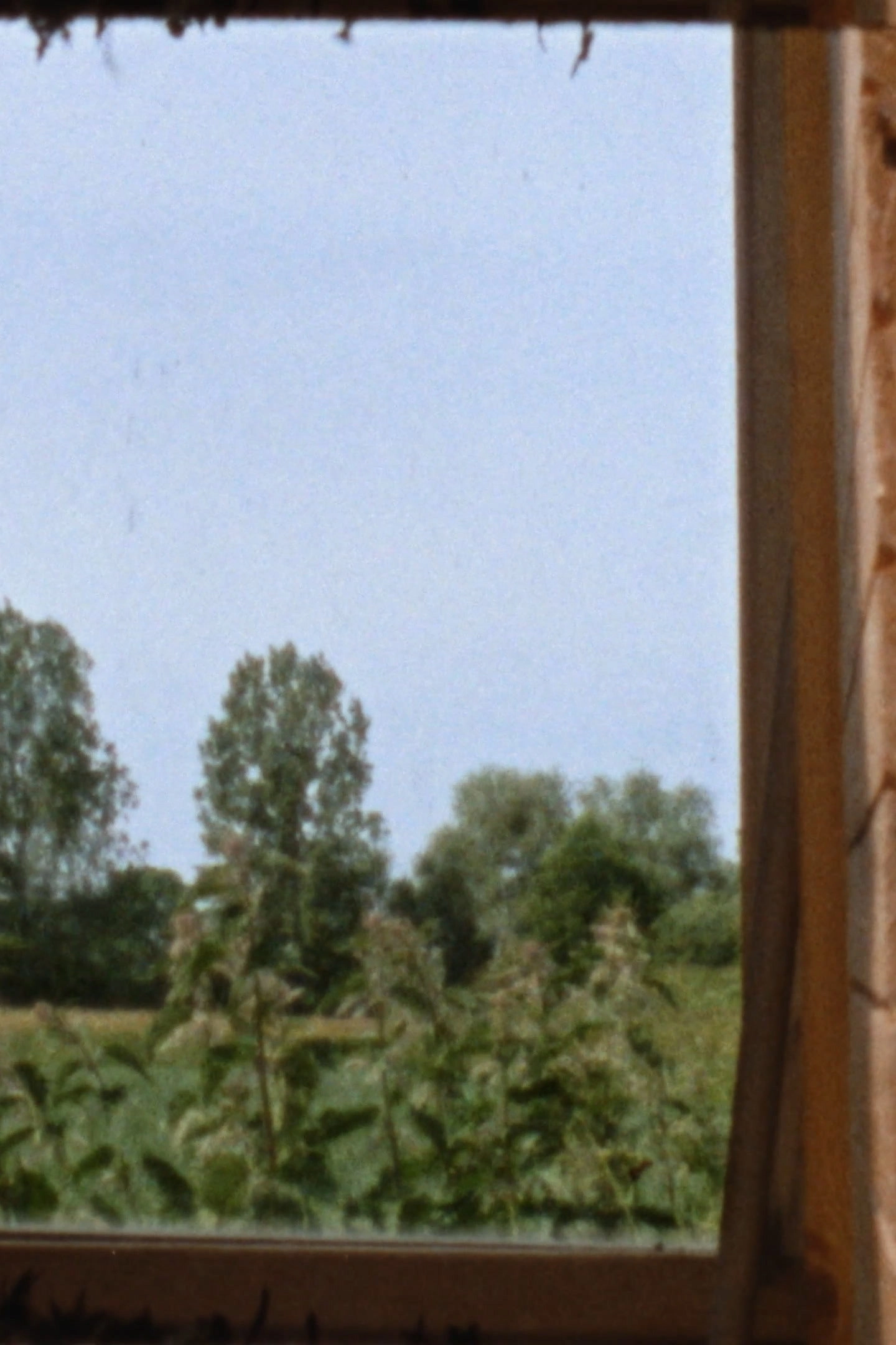 Landscape as Landscape 6