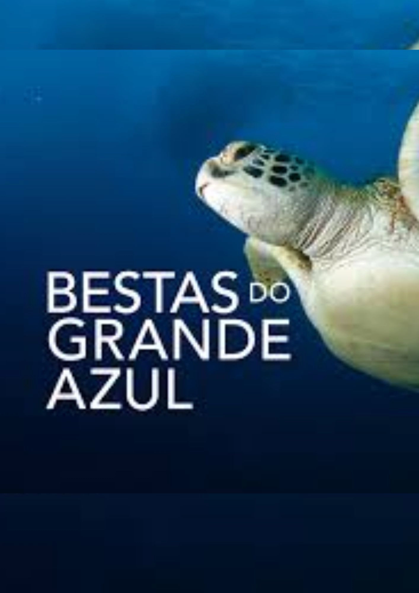 Bestas do Grande Azul