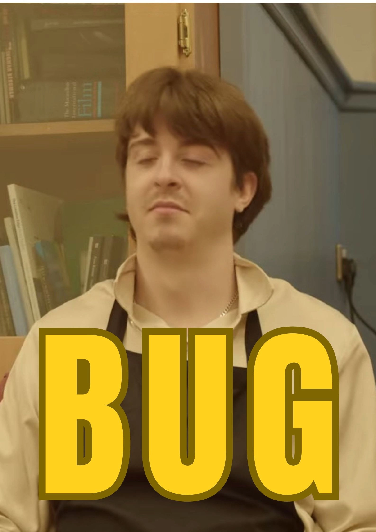 Bug