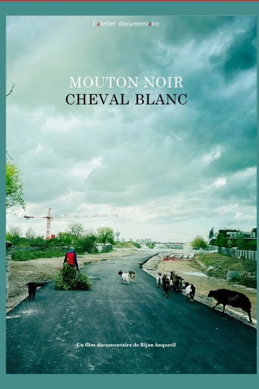 Mouton noir, cheval blanc
