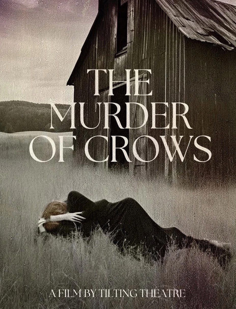 The Murder Of Crows