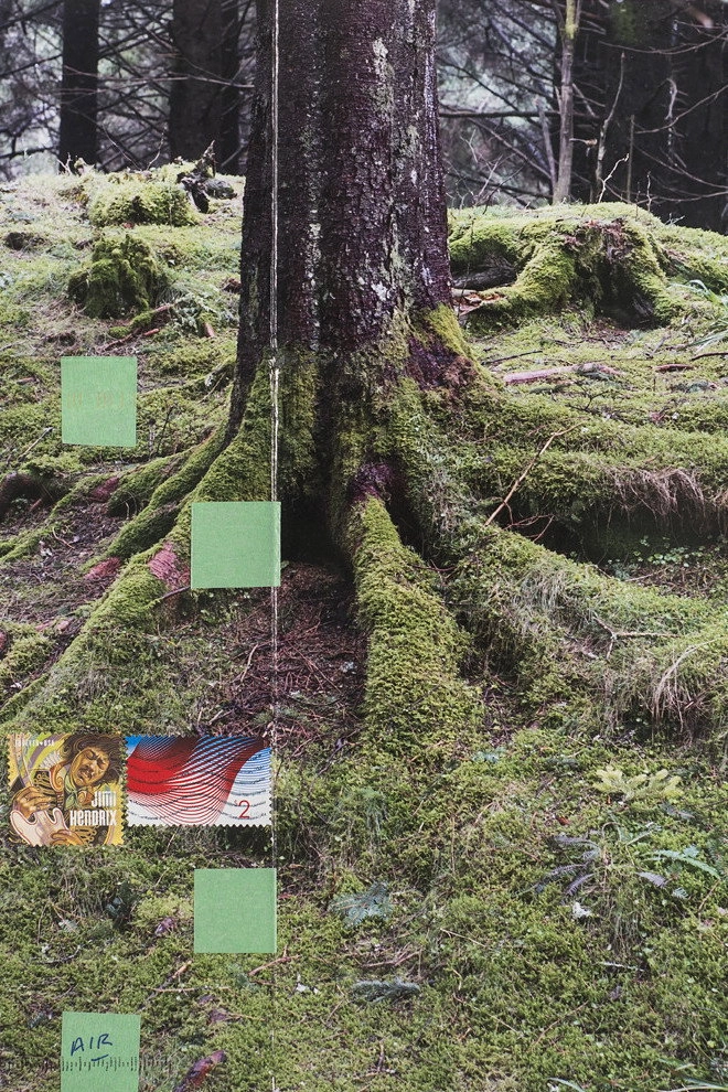 Hemlock Forest