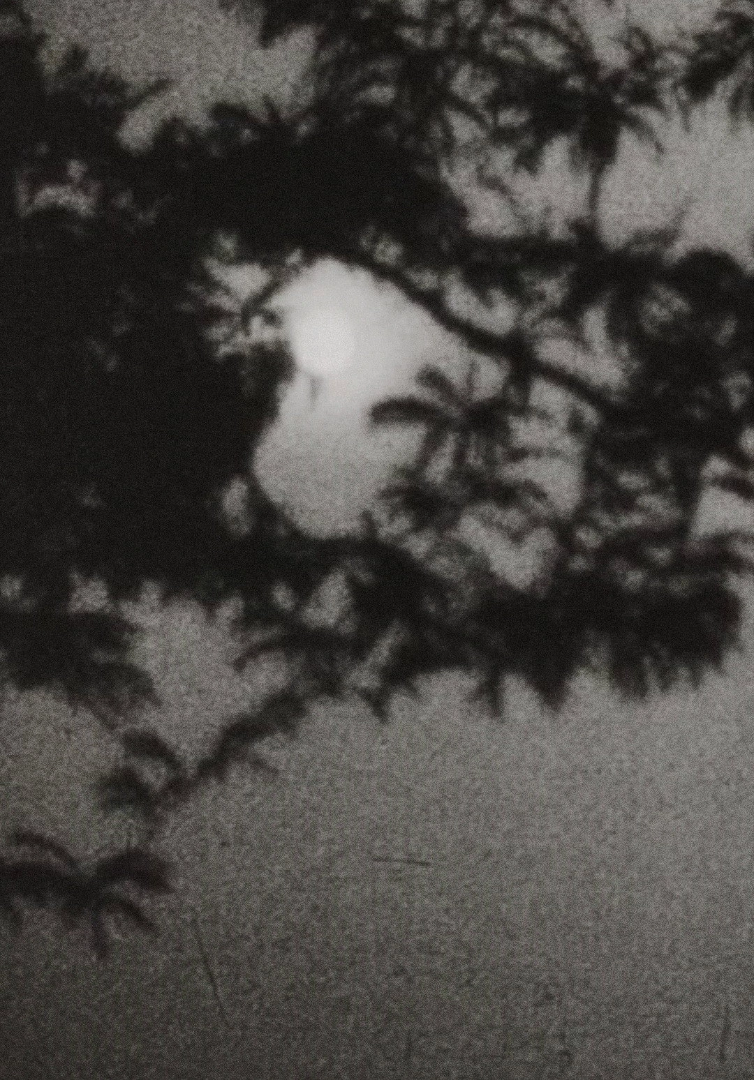 Moonplay