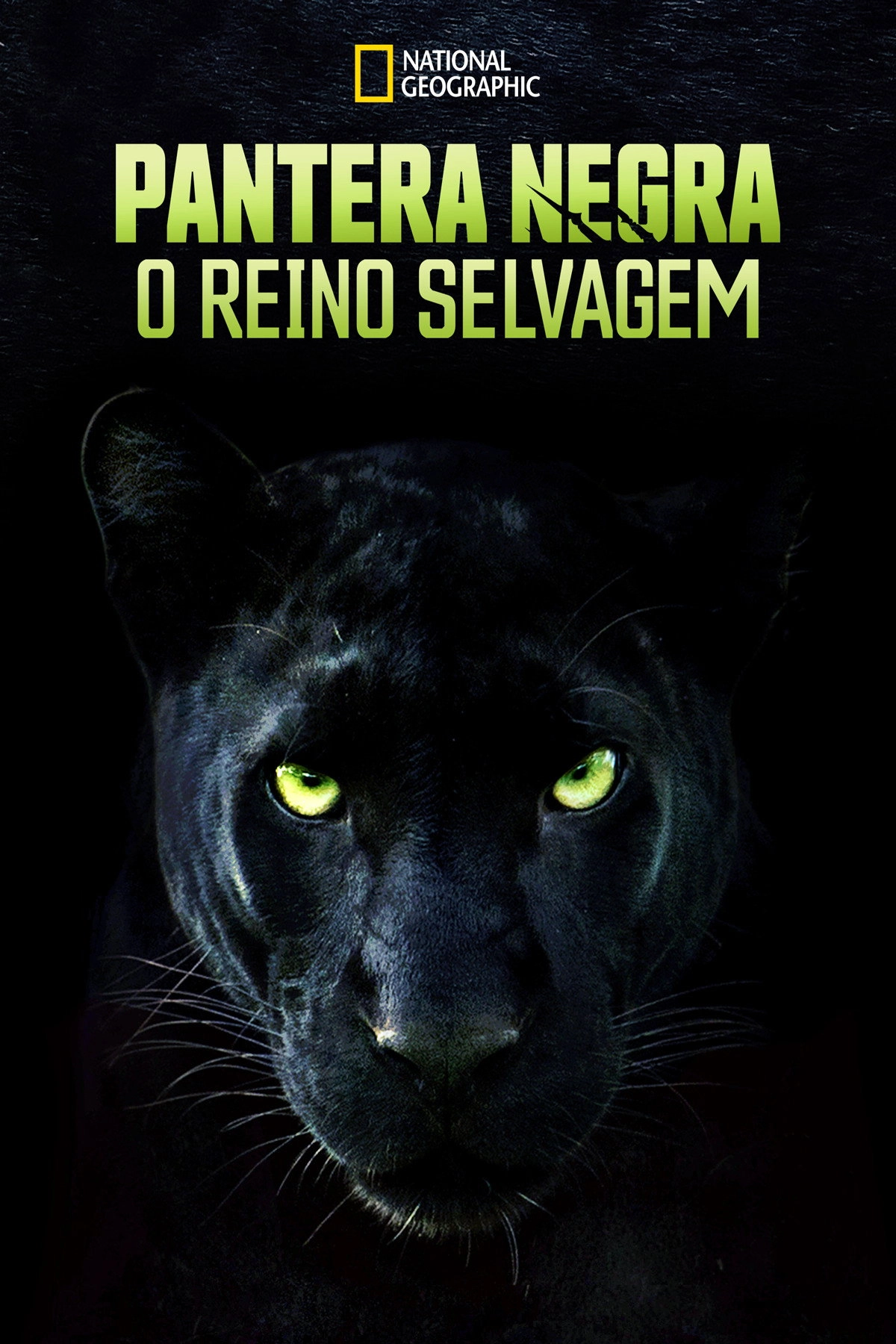 The Real Black Panther