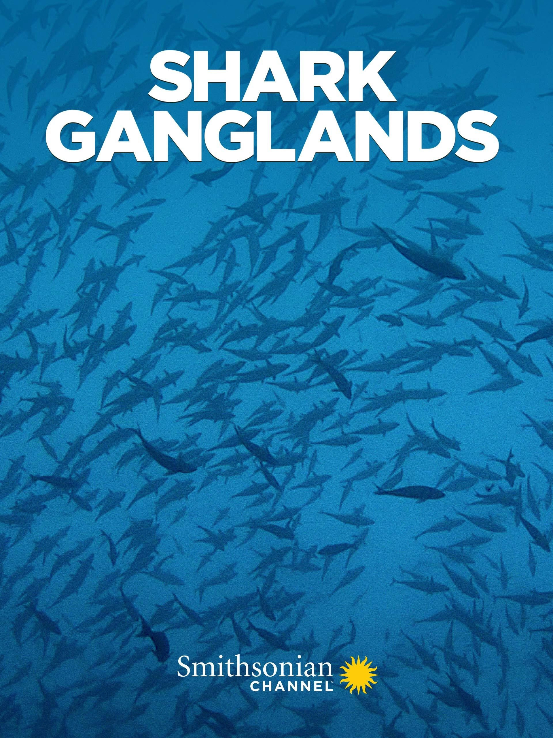 Shark Ganglands