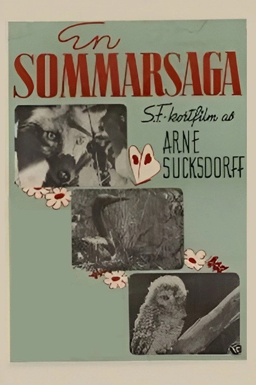 Summer's Tale