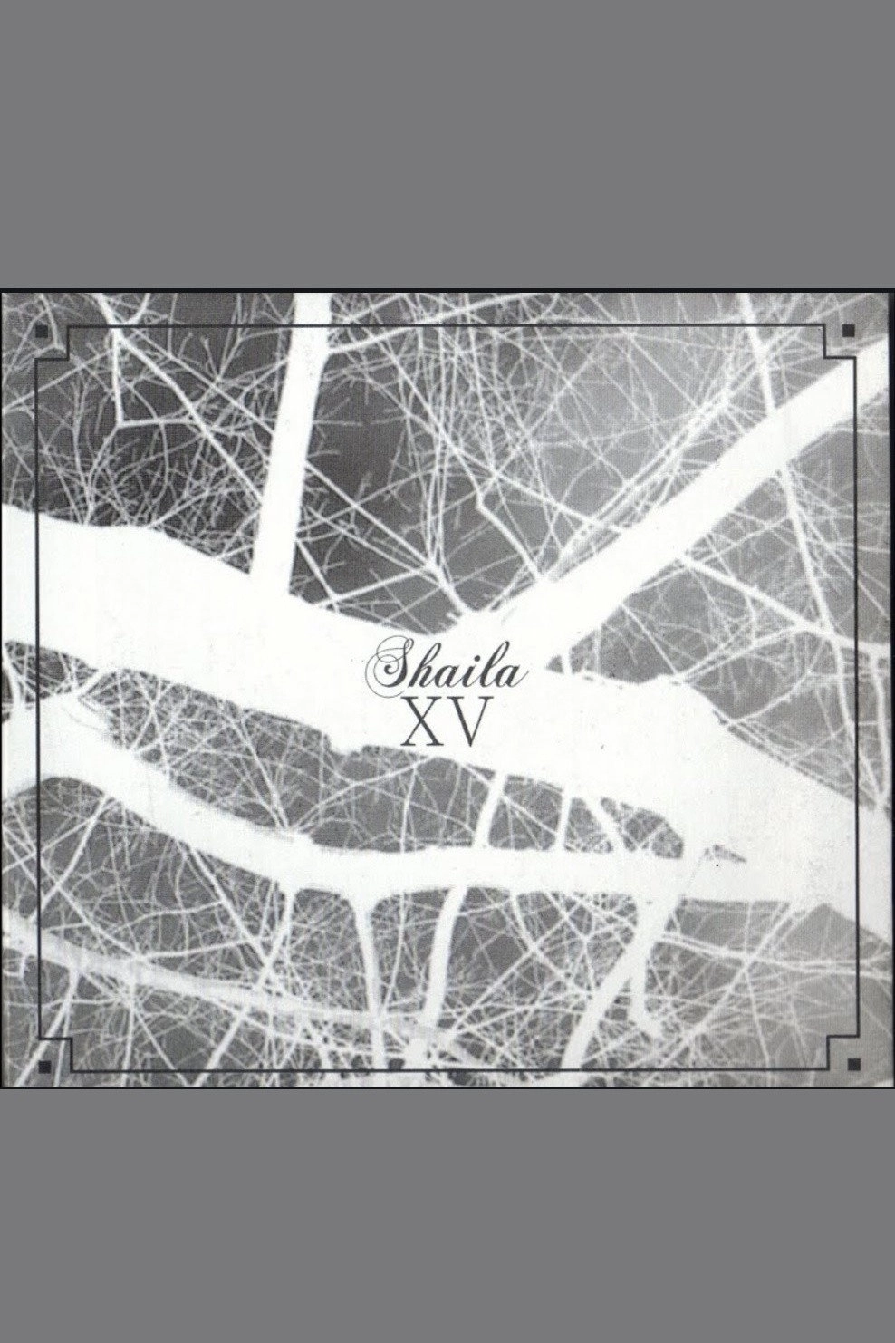 Shaila XV