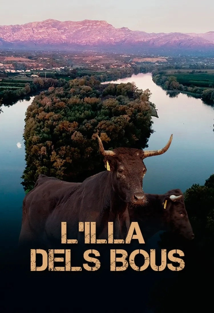 L'illa dels bous