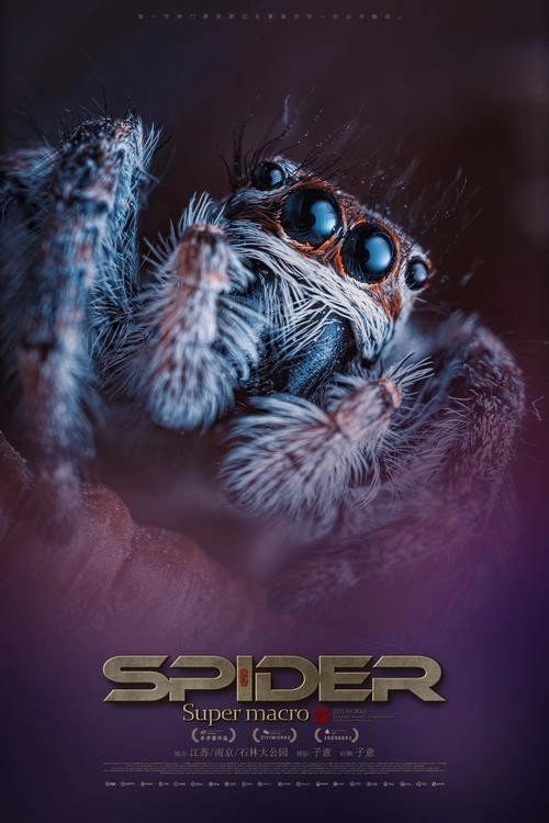 Super Spider