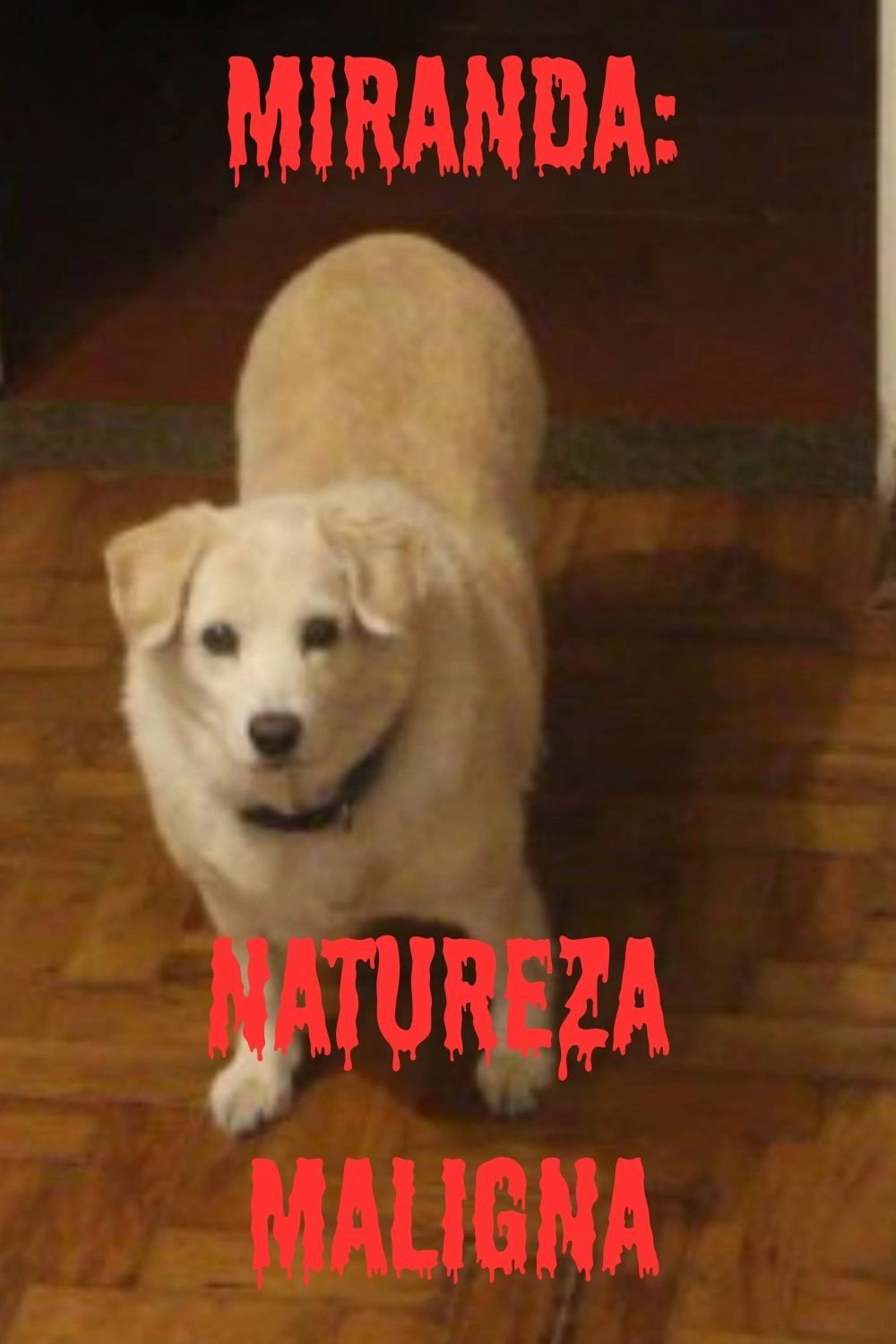 Miranda: Natureza Maligna
