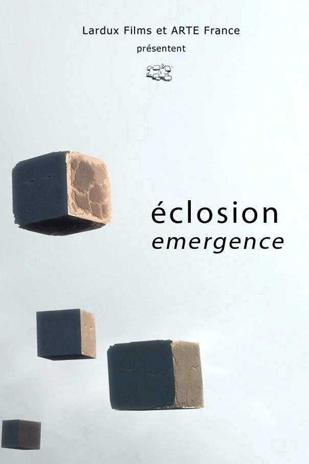 Emergence