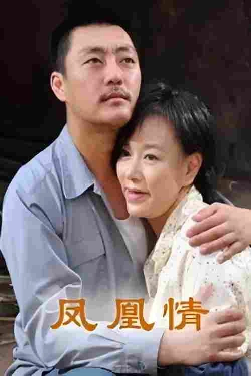 凤凰情