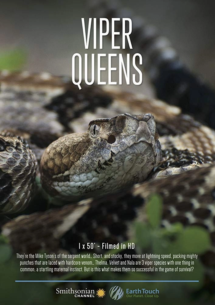 Viper Queens