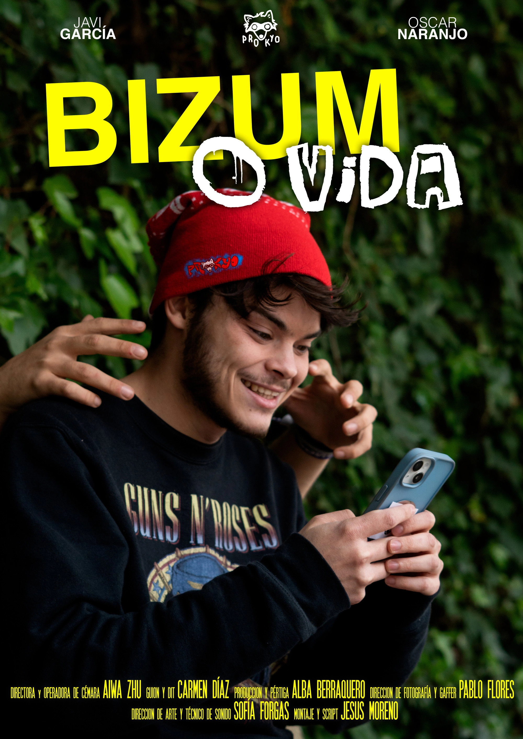 Bizum o Vida