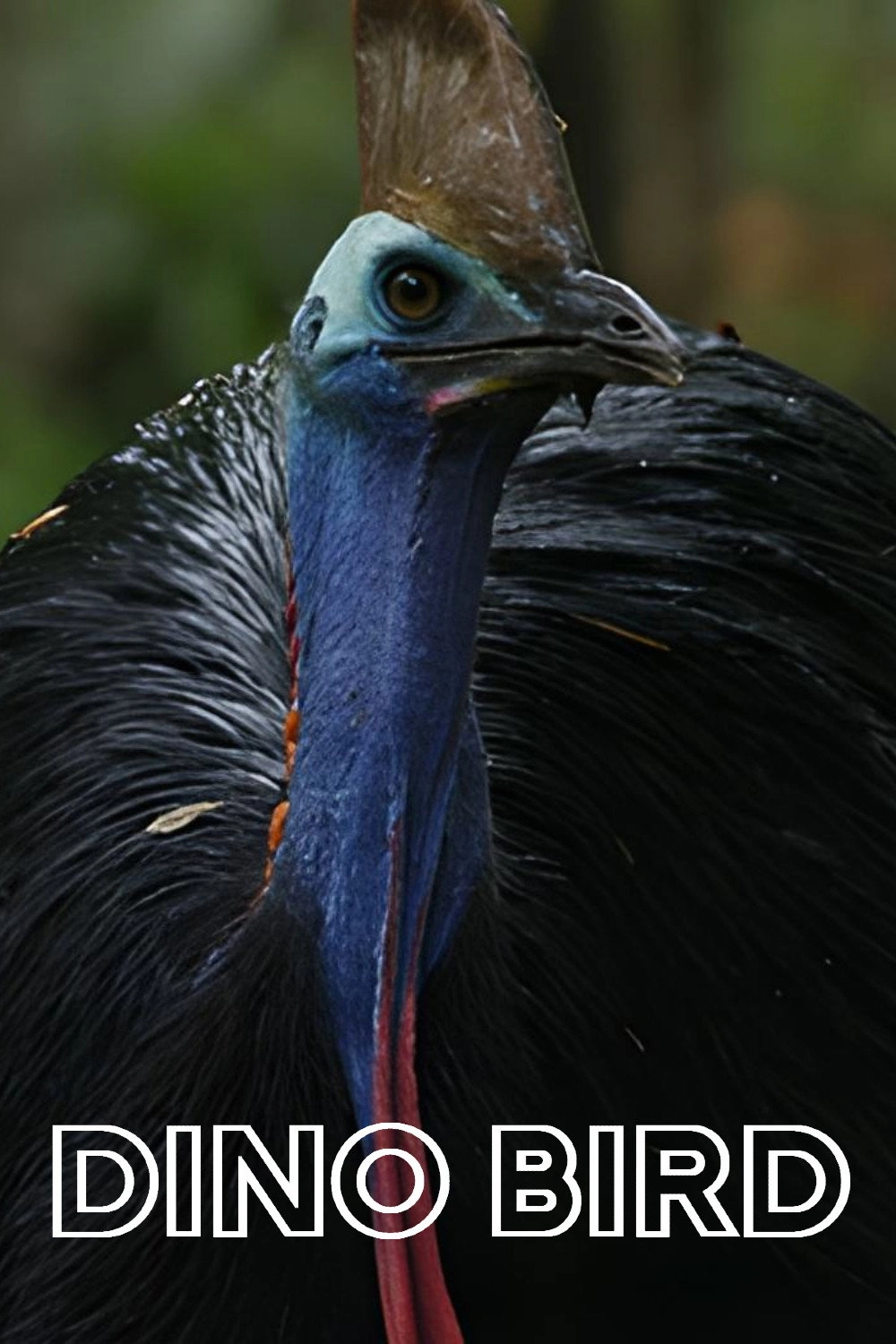 Dino Bird