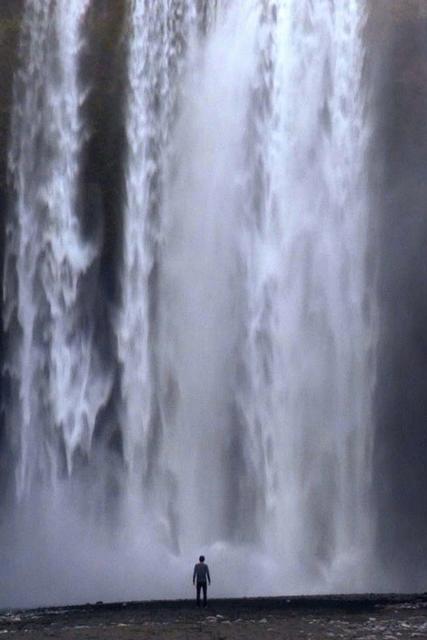 In Landscape's Movement
