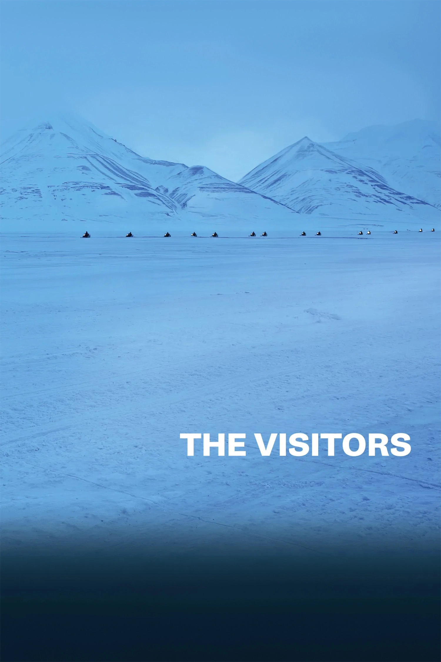 The Visitors