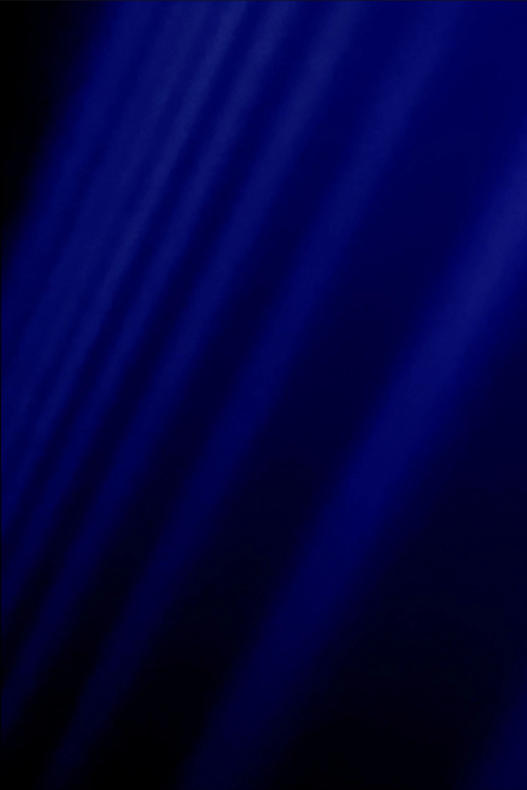 Bluebeam