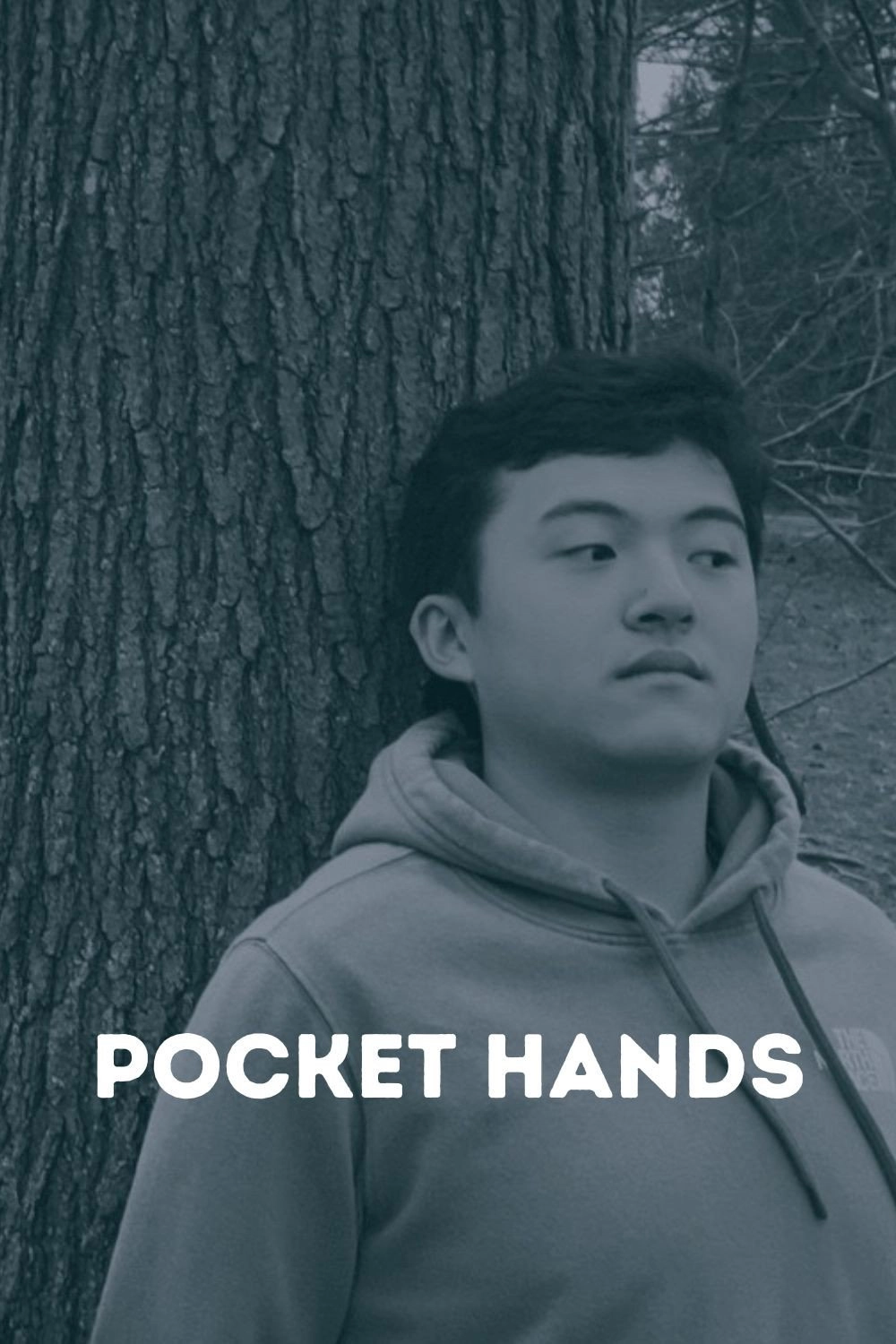 Pocket Hands