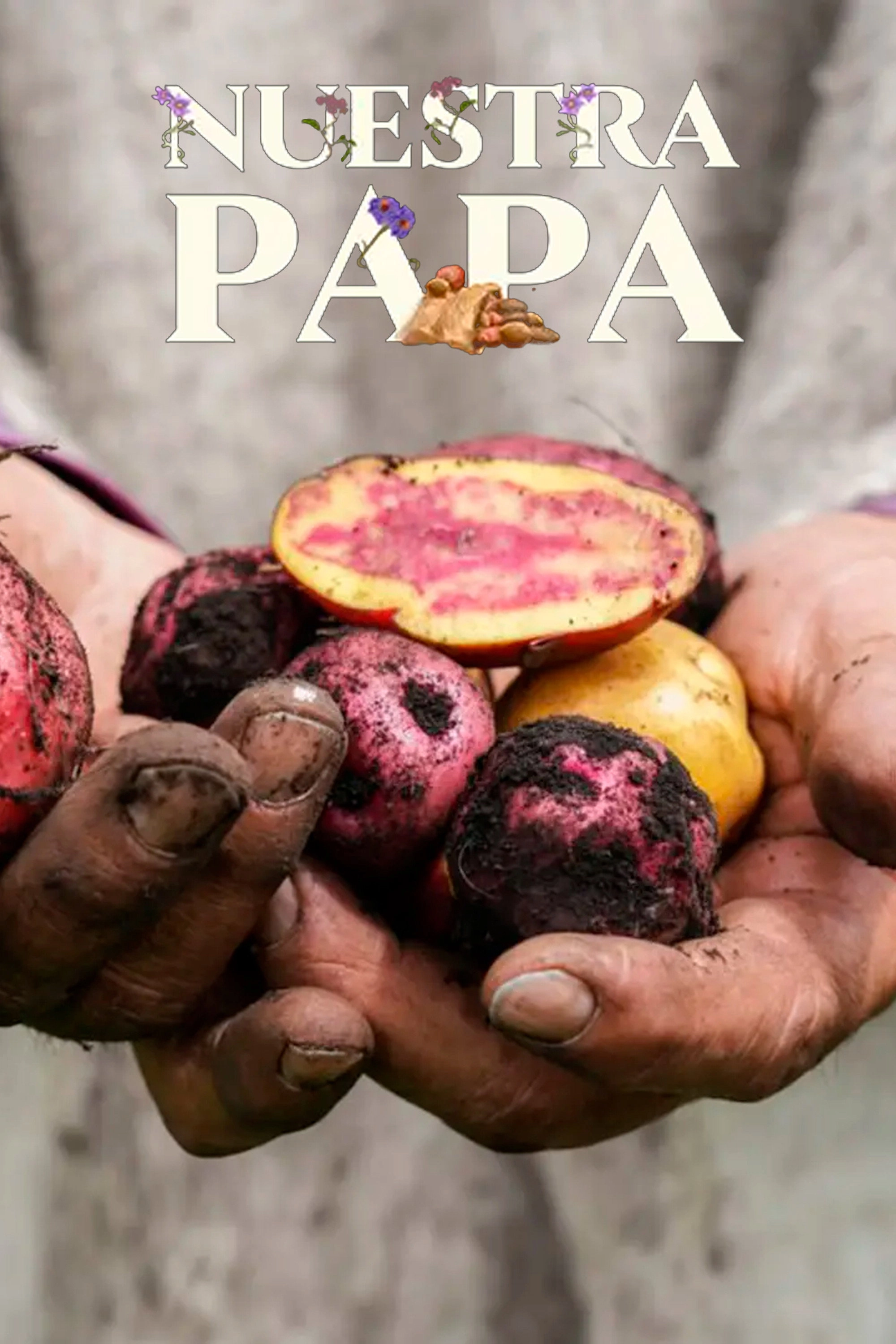 Nuestra papa