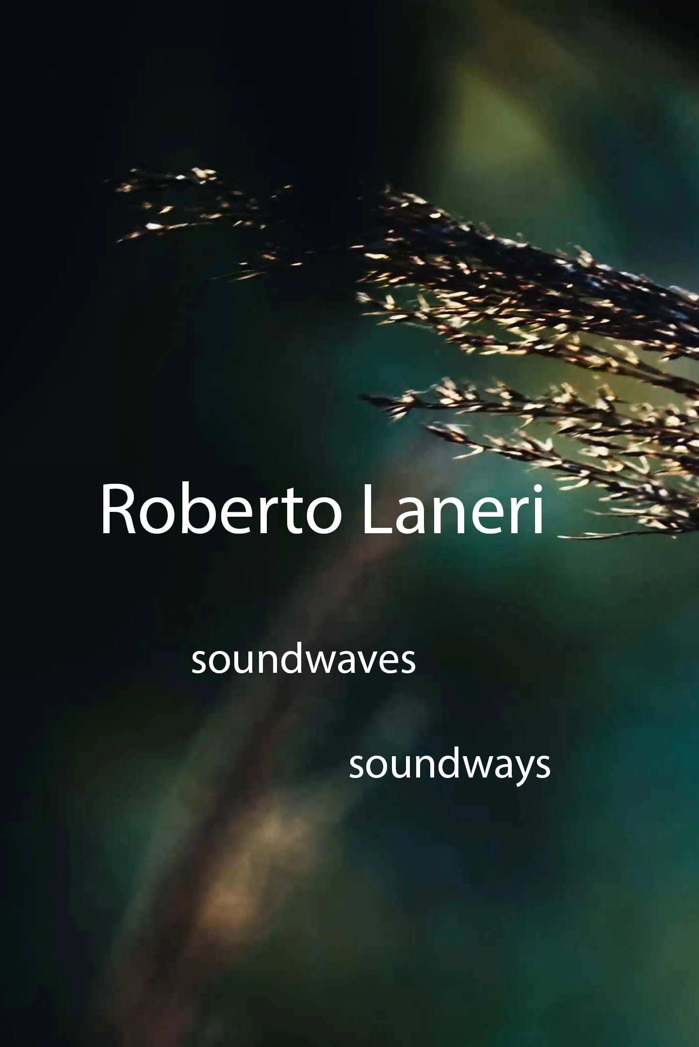 Roberto Laneri: Soundwaves Soundways