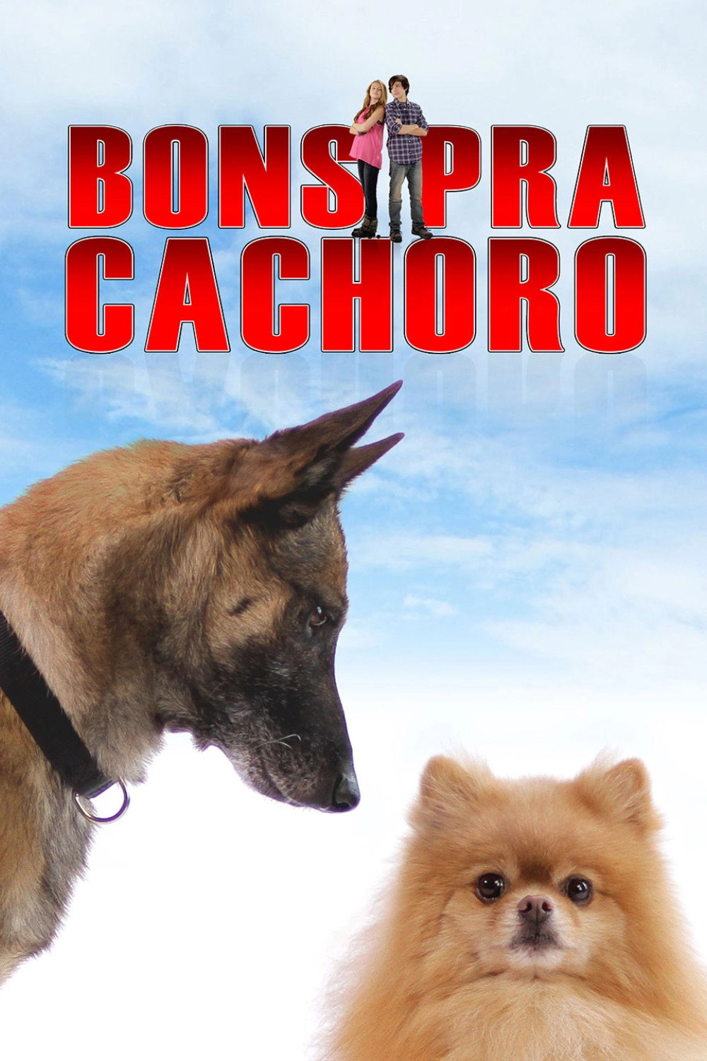 Step Dogs