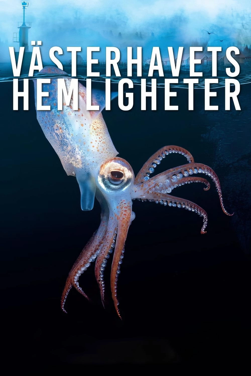 Västerhavets Hemligheter