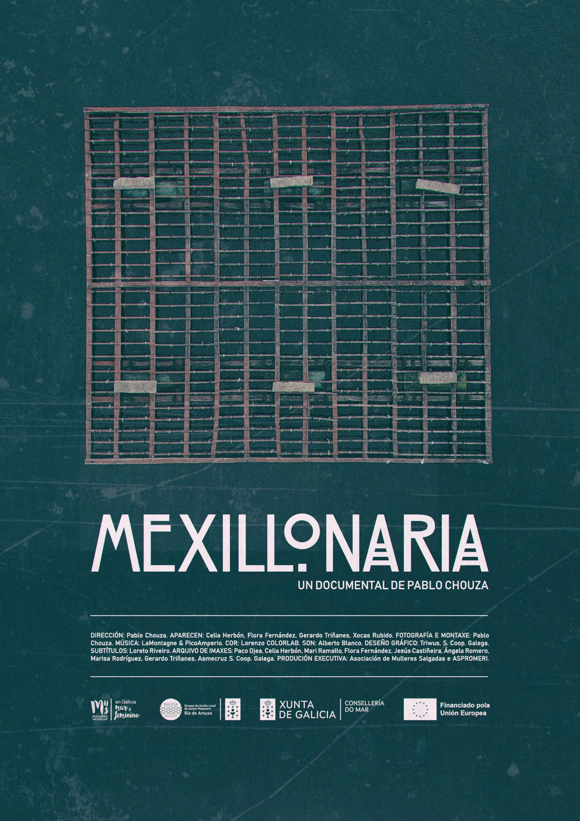 Mexillonaria