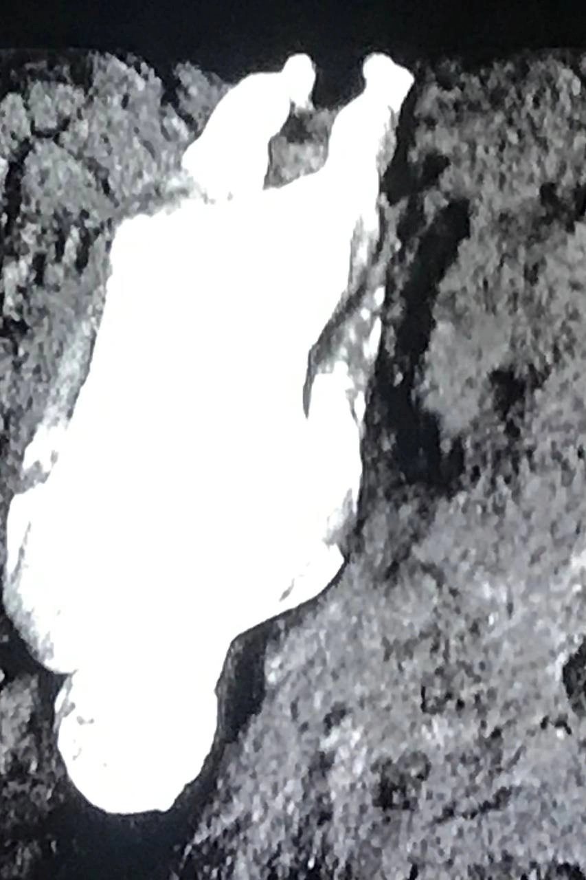 Naissance