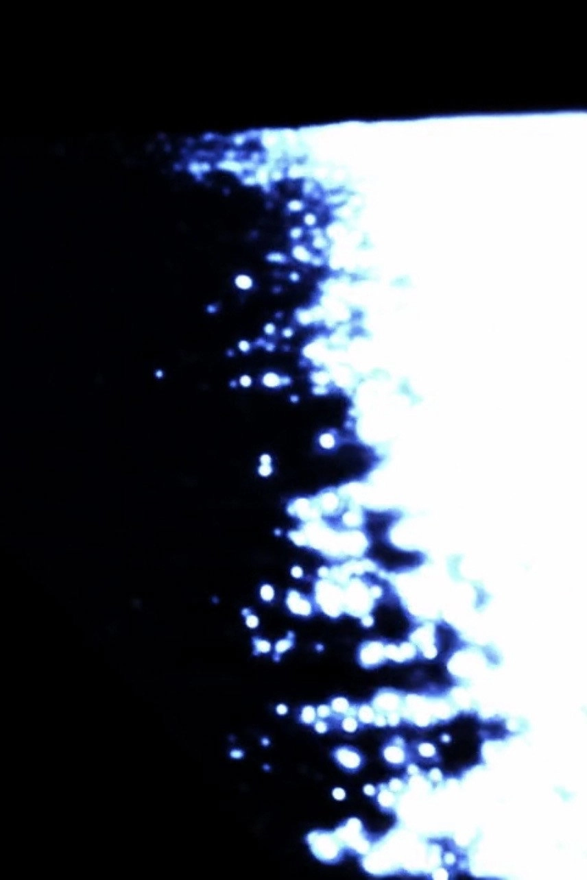 Somnus Aureoles