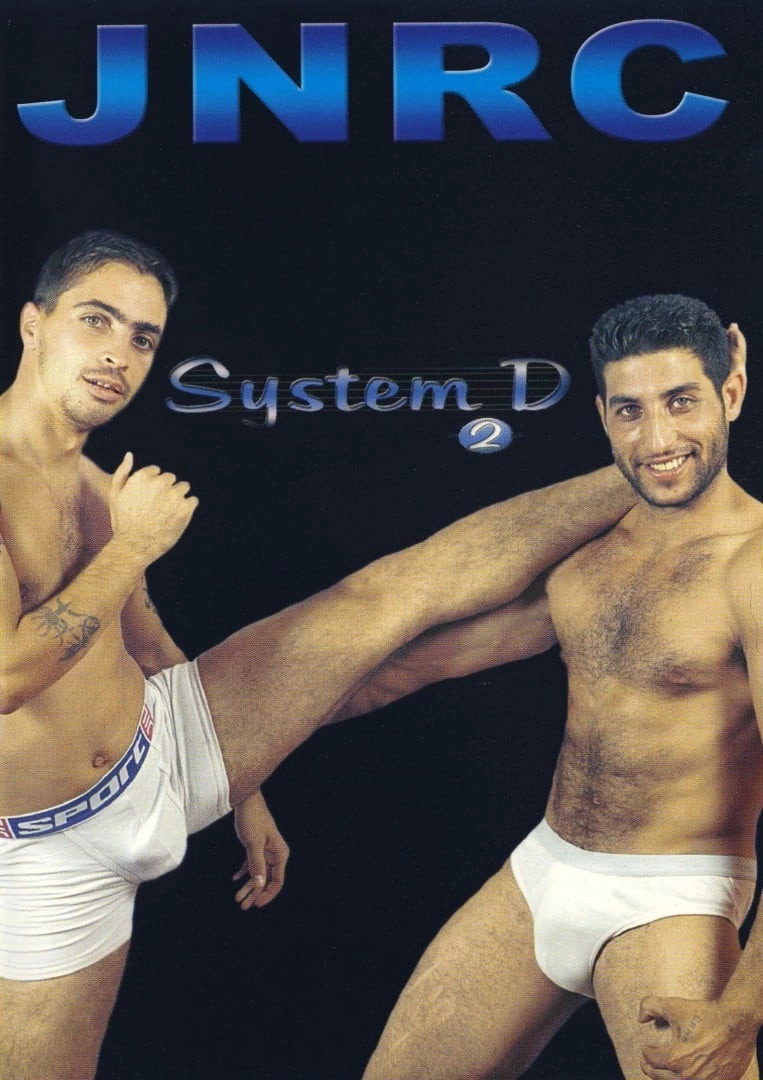 System D Version 2.0