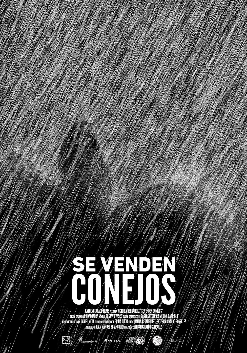 Se venden conejos