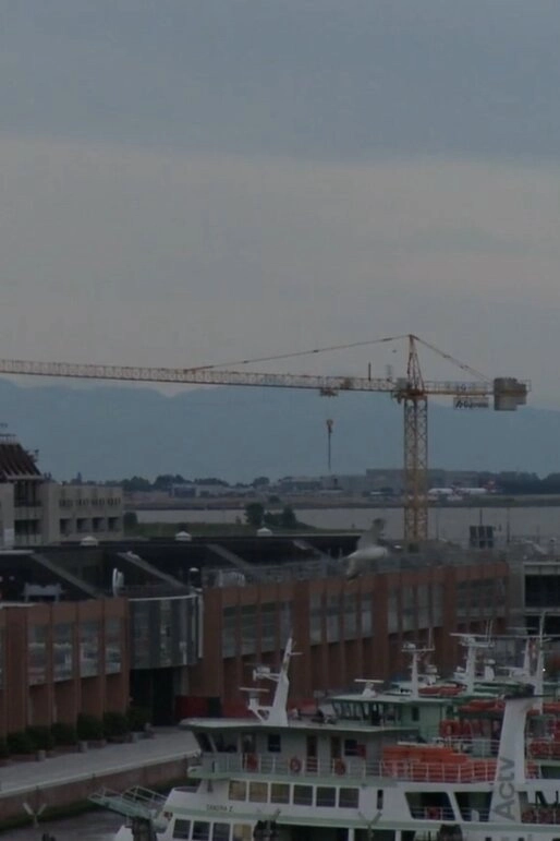LA LINEA GENERALE