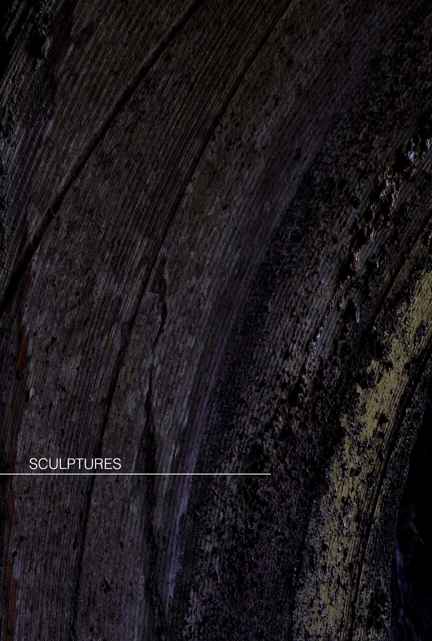 Sculptures
