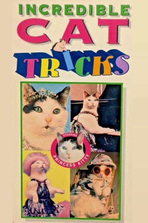 Incredible Cat Tricks Starring Princess Kitty