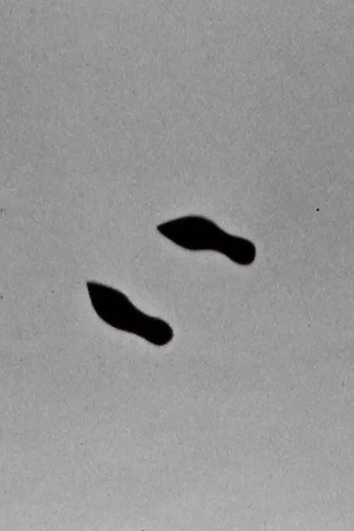 Cold Feet