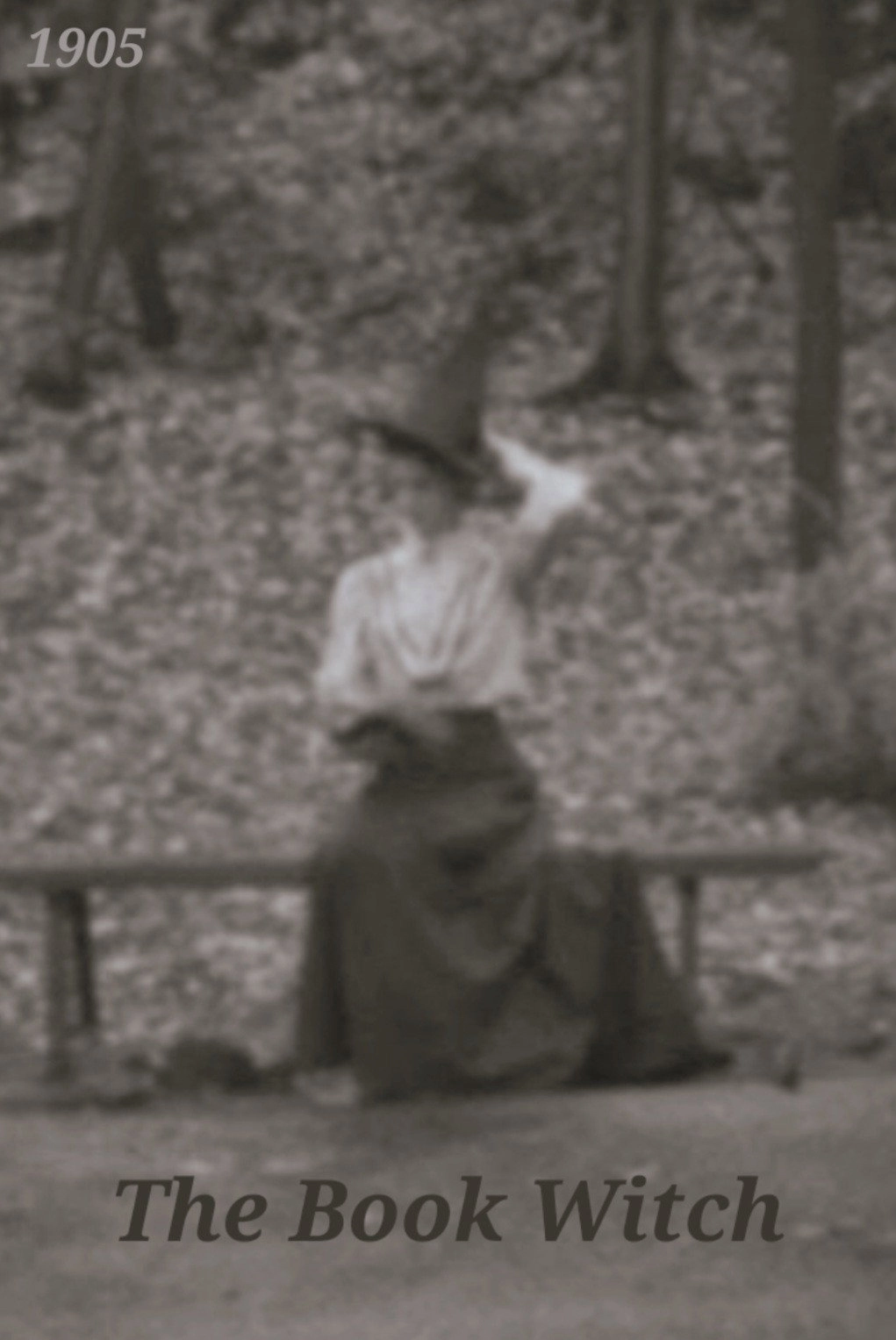 The Book Witch