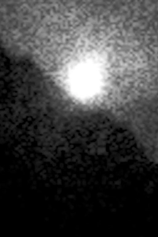Poème des loups