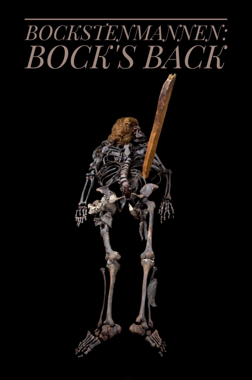 Bockstensmannen: Bock's Back!