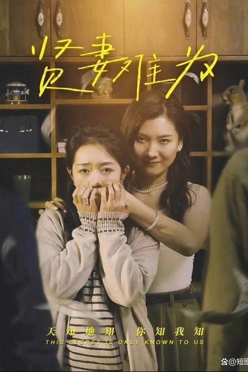 贤妻难为