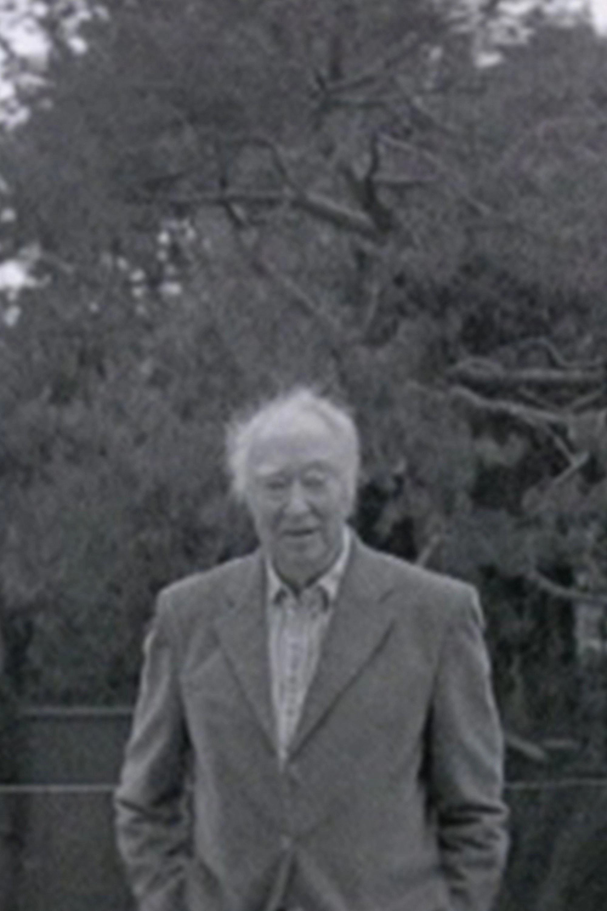 Michael Snow Portrait