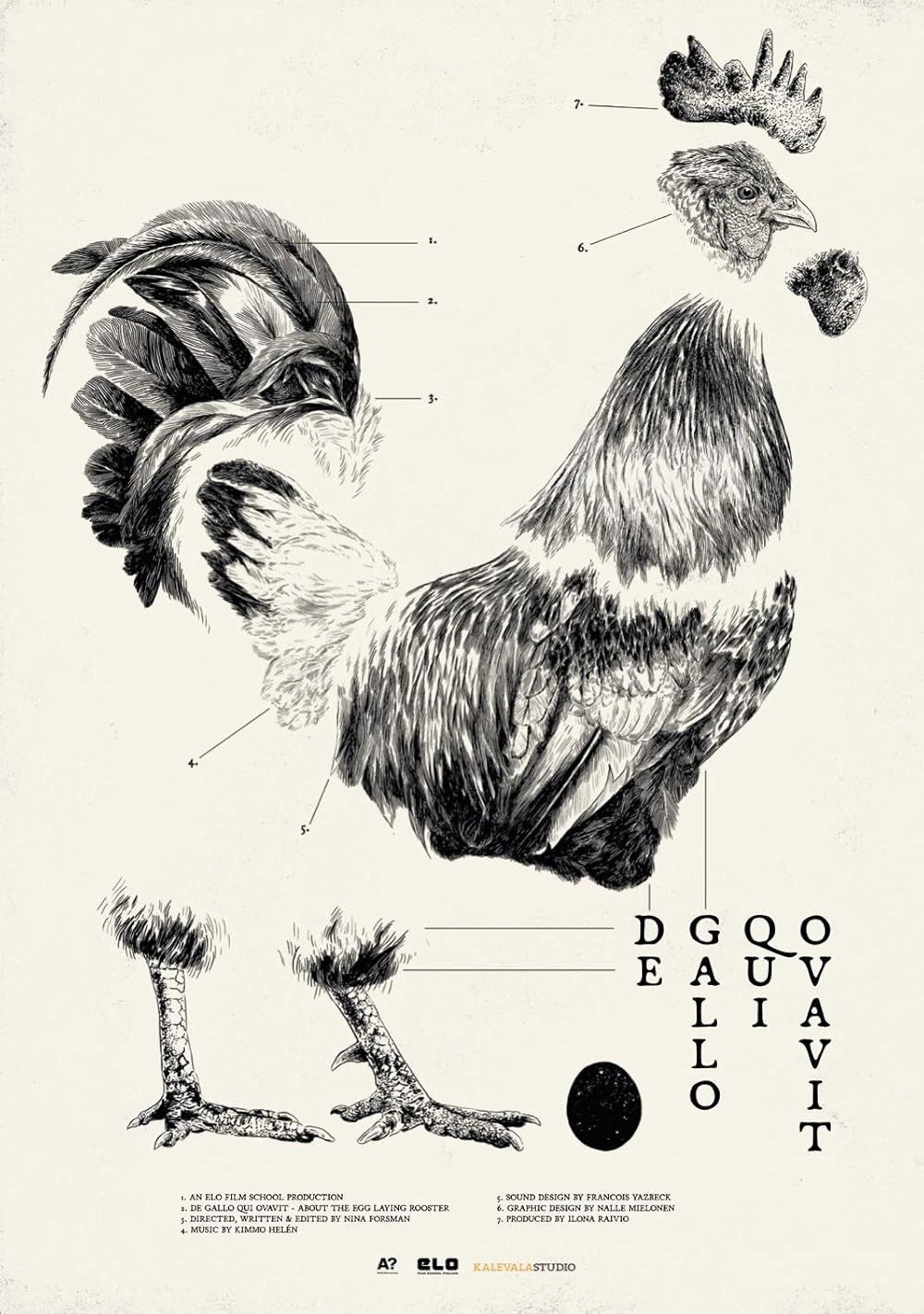 De Gallo Qui Ovavit