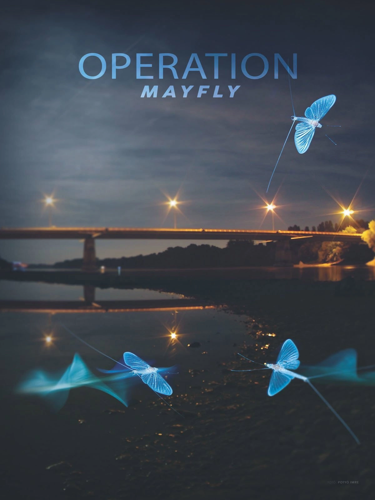 Operation Mayfly