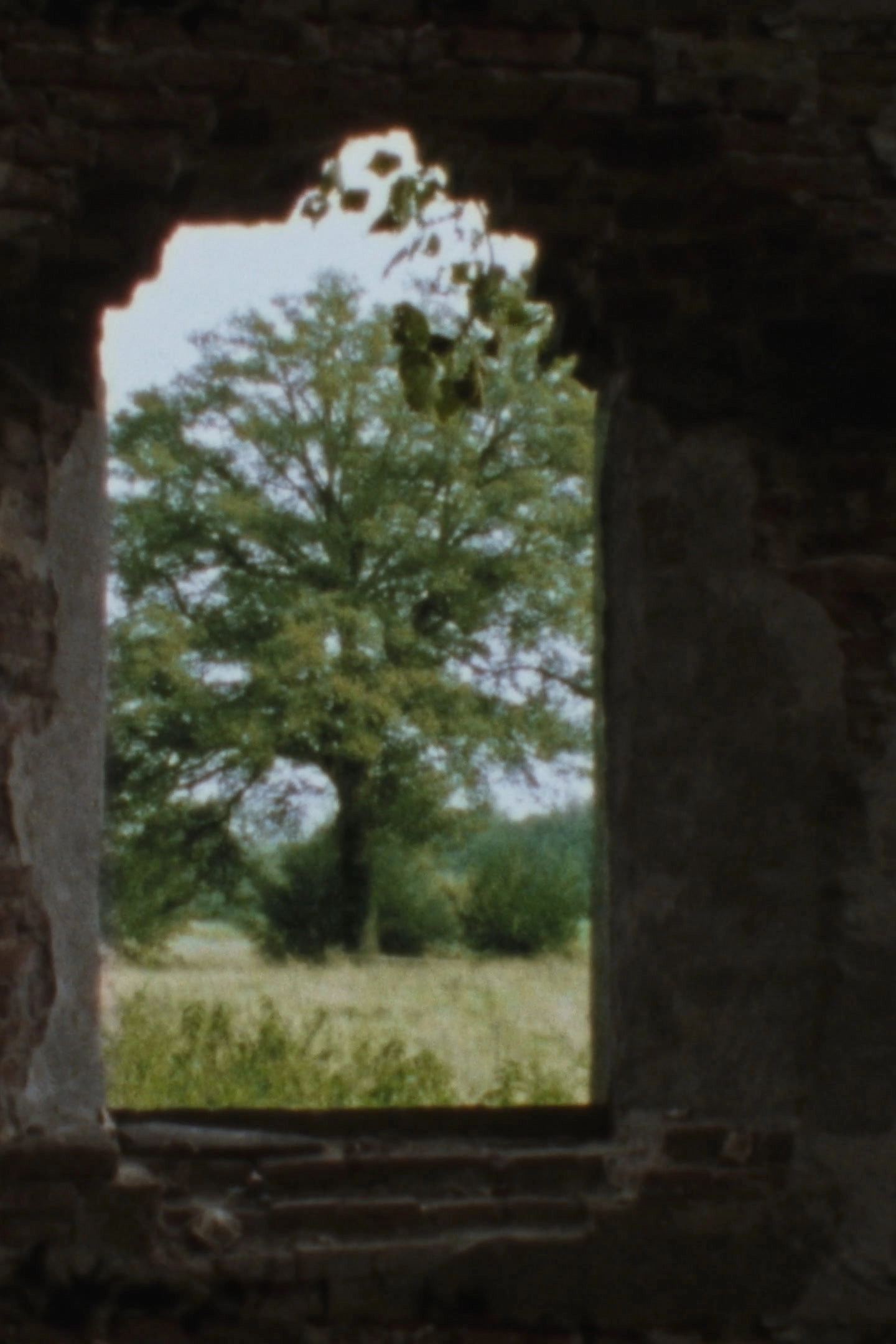 Landscape as Landscape 8